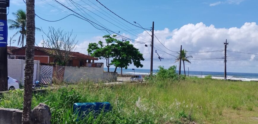 Terreno
